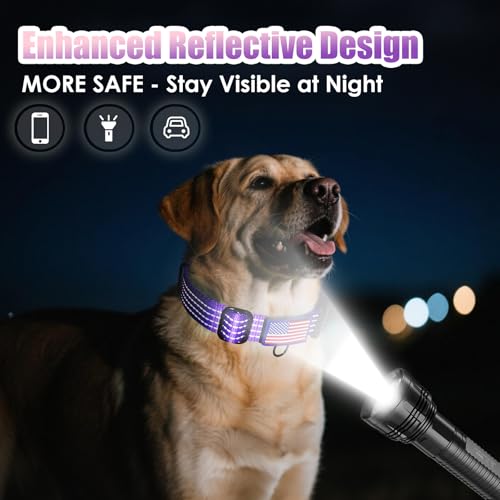 Martingale Dog Collar, Reflective No Pull Training Collar with Quick Release Buckle, Adjustable Heavy Duty Nylon Choker Collars for S M L Dogs (Lavender with Flag, L (1" x 19"-26")) - color: Lavender with Flag, size: L (1" x 19"-26")