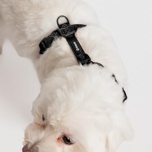 Fei & Eve Moxie Dog Harness for Small & Medium Dogs, Black, XS | Lightweight Design, 3-Point No-Pull Control, Quick Release Metal Buckle - color: Black, size: XS