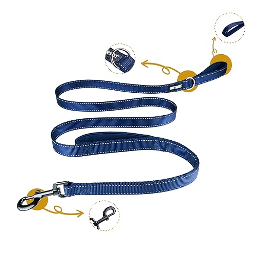 OneTigris Handled No-Pull Dog Walking Leash Long Traffic Leads for Medium to Large Dogs (Blue, 6FT) - color: Blue, size: 6FT