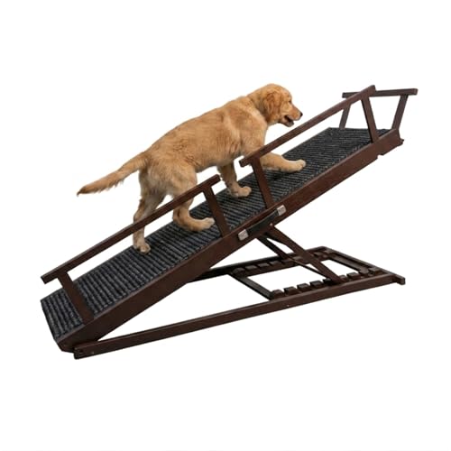 Dog Ramp for Bed - 7-Level Adjustable (13"-37") Birchwood, 60" Foldable Soft Carpet Ramp with Removable Washable Cover & Rails, for High Bed/Couch, DIY Glow Strips, Supports 200 Lbs - color: Brown - Carpet Style