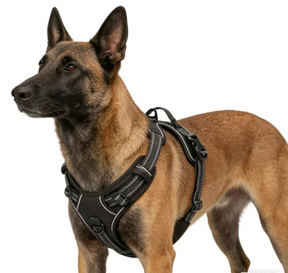 Black Adjustable Reflective No-Pull Dog Harness with 2 Leash Clips，Soft Padded Vest for Small Dog, Easy to Put on and Take Off,Black Small - color: Black, size: Small