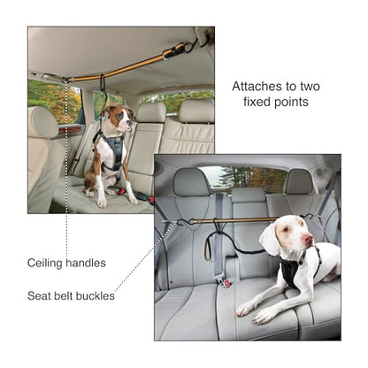 Kurgo Auto Zip Line - Backseat Zipline Harness for Car Travel - Dog Car Accessory for Safe Rides - Adjustable Pet Tether - Durable Nylon Zipline Leash Travel System