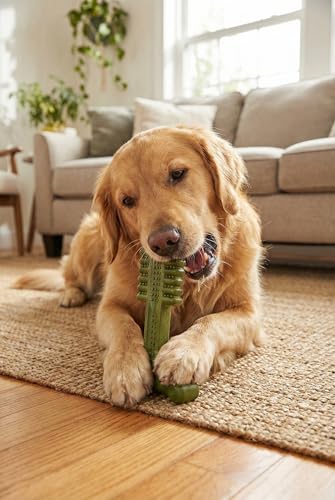 SPOT Bam-Bones Plus Toothbrush Dog Chew Toy for Large Dogs 60-90 lbs, Bamboo & Nylon Dental Chew with Mint & Baking Soda, T-Bone Shape for Moderate to Heavy Chewers, 7 Inch - size: 7 Inch (Pack of 1)