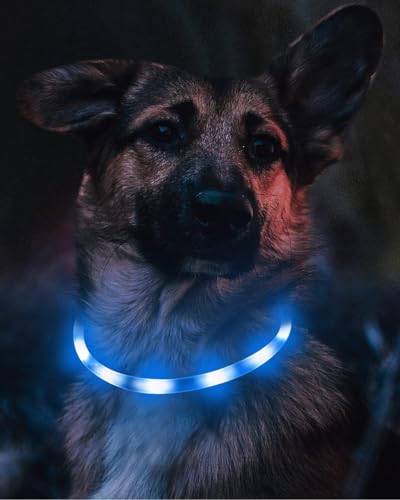Joytale Light Up Dog Collar, Rechargeable Rainproof LED Collar for Night Walking Safety, Soft Silicone Glow in The Dark, Suitable for Small Medium Large Dogs, Blue - color: Blue