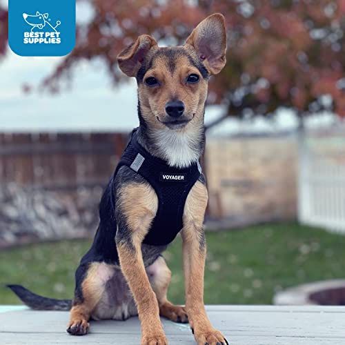 Best Pet Supplies - All Weather Mesh / Plush, Reflective, No Pull Harness for Small, Medium Dogs, Cats - Secure with Hook & Loop Fastener, Buckle, Double D-Rings - Black/Black Trim, L - color: Harness (Black/Black Trim), size: L (Chest: 18 - 20.5")