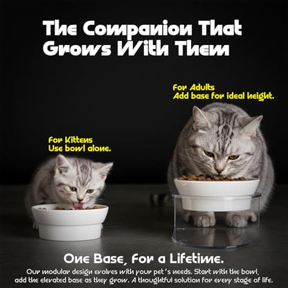 LivLab Mker Raised Cat Bowl, Elevated Cat Food Bowls with Stand - 15° Tilted Shallow Cat Dish for Whisker Fatigue Relief, 4.5" Height for Easy Feeding, Lead & Cadmium Free Melamine Bowl, White - color: White
