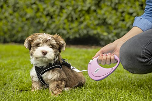 Flexi - PU00T2-251-RO - Dog Lead - Retractable Lead - Puppy Tape - 2 m - Pink - size: M