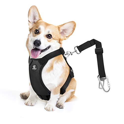 VavoPaw Dog Seat Belt, Safety Vest Dog Car Harness with Adjustable Buckle Dog Seat Belt for Vehicle Nylon Pet Safety Seat Belts Heavy Duty(S, Black) - color: Black, size: S (Chest: 16.5-21.7", Neck: 8.7-13.8")