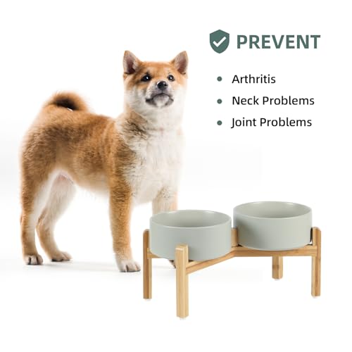 Havniva 7.3” Dog Bowls Elevated Ceramic Dog Food and Water Bowl Set, Double Raised Dog Water Bowl with Stand Non-Slip Rubber Base Large Capacity Feeding Pet Food Bowl for Medium Dogs - color: Matte Gray - 2 Bowls+Stand, size: 7.3 Inch