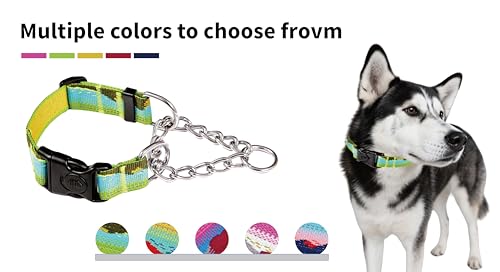 Martingale Dog Collars with Stainless Steel Chain, Reflective No Pull Walking Training Collar with Quick Release Buckle, Adjustable Slip Chain Nylon Dog Collars for Small Medium Large Dogs - color: Green and blue, size: Large