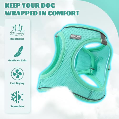 Dog Harness Small Sized and Leash Set, Step in Soft Light Puppy Vest, Breathable Mesh Pet Harness, Reflective for Safe Easy Walking. - color: Blue, size: Large (Pack of 1)