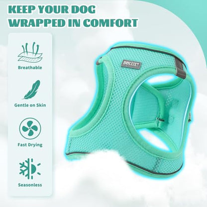 Dog Harness Small Sized and Leash Set, Step in Soft Light Puppy Vest, Breathable Mesh Pet Harness, Reflective for Safe Easy Walking. - color: Blue, size: Large (Pack of 1)