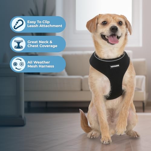 Voyager Aerolite Over The Head Dog Harness, No Pull Breathable Air Mesh Vest, Quick Dry with Reflective Stitching, Adjustable Escape Resistant Harness for Small Medium Large Dogs - Black, Large - color: Black, size: L
