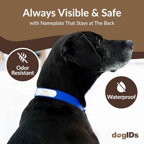 dogIDs Personalized Dog Collar – Custom Waterproof Soft-Grip Biothane with Laser-Engraved Nameplate, Durable & Odor-Resistant, USA Made | Amethyst, 1 in x 16 in (Fits Necks Size 14-18 in) - color: Amethyst, size: 1 in x 16 in (Fits Necks Size 14-18 in)