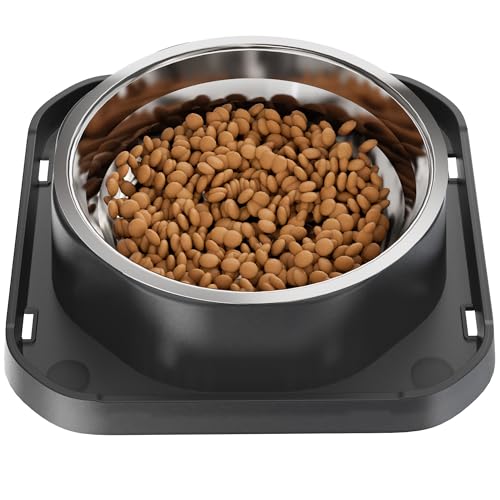 Stainless Steel Dog Bowls, Spill Proof Basic Dogs Bowls for Small Dogs Cats, 2 Cup Dog Food and Water Bowl, Non-Slip Puppy Feeder, Cat Bowl for Feeding Water - Starry Gray - size: Single