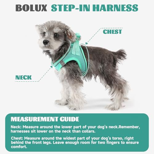 Dog Harness Small Sized and Leash Set, Step in Soft Light Puppy Vest, Breathable Mesh Pet Harness, Reflective for Safe Easy Walking. - color: Blue, size: Large (Pack of 1)