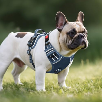Timos Dog Harness Small Sized, No Pull Pet Harness with Neck Lockable Snap,No Choke Front Clip Dog Reflective Vest,Adjustable Metal Rings 3 Buckles,Easy Control Handle for Small Dogs Royal Blue S - color: Lock Royal Blue, size: Small (Pack of 1)