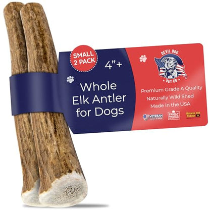 Devil Dog Pet Co. Elk Antlers for Dogs, Natural Dog Chew for Aggressive Chewers - Long Lasting and Odor Free - USA Sourced - Cleaner Teeth, Anxiety & Boredom Relief - Whole Small 4"+ 2 Pack - style: WHOLE - Small - 2 Pack