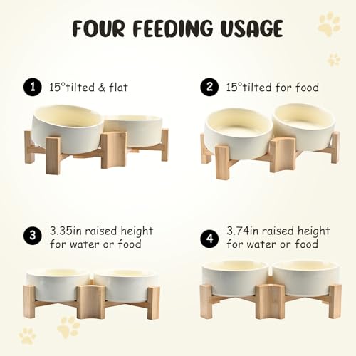 SPUNKYJUNKY 15° Slanted Ceramic Dog and Cat Bowl with Wooden Stand, Tilted Bulldog Food and Water Bowl No Slip Non-Spill for Cats Medium Dogs Big Face Pets 13.5 OZ (1.7 Cups, Beige × 2) - color: Beige, size: 1.7 CUPS × 2