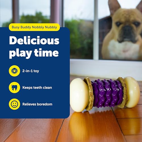 PetSafe Busy Buddy Nobbly Nubbly Treat Holding Dog Toy Strong Chewers Small - size: Small, style: Nobbly Nubbly