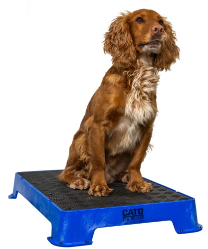 Cato Board - Dog Training Platform (Blue, Rubber Surface) - color: Blue
