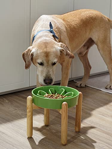 LE TAUCI Ceramic Slow Feeder Dog Bowls Elevated, 3 Cup Raised Bowl with Wooden Stand for Medium Large Breed, Slow Down Eating, Puzzle Dog Food Bowl, Clover Green - color: Clover Green+Stand, size: L-3 Cups