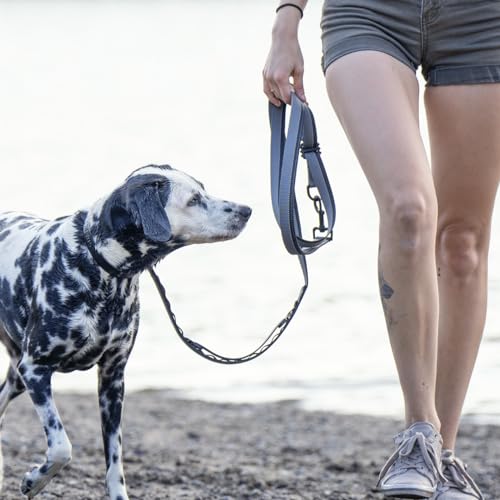 Hands Free Dog Leash - Waist or Shoulder Leash for Walking and Hiking with Medium and Large Dogs, Adjustable 4 to 6 FT Outdoor Bungee Lead with Traffic Handle by Nuvuq (18-120 lbs, Black) - color: Black Pepper