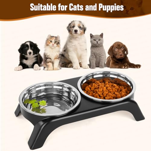 Elevated Cat Bowls - Anti-Vomiting Raised Food Bowl Set With 2 Stainless Steel Bowls, Prevents Neck Pain, ABS Anti-Slip Stand for Indoor Cats & Puppies (Black) - color: Black
