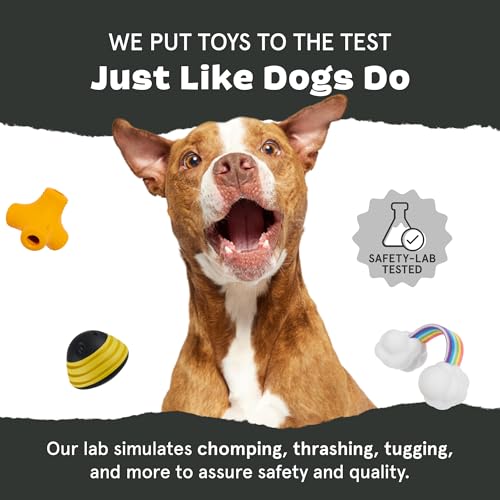 Barkbox Super Chewer Tough Dog Chew Toys for Aggressive Chewers, Dental Stimulating (Turkey - Large) - color: Turkey Day Drumstick - Large, size: Medium/Large