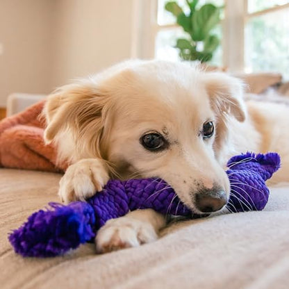Playology Dog Toys | Dri-Tech Dental Rope Toy for Senior Dogs, Gentle on Teeth | Pork Sausage Scented Medium Toy | Dog Rope for Tug of War - size: Medium Rope, style: Pork Sausage