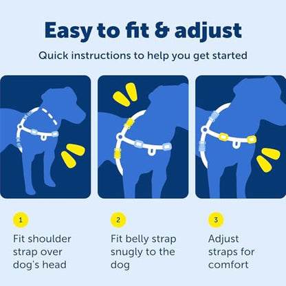 PetSafe Easy Walk No-Pull Dog Harness - Ultimate Harness to Help Stop Pulling - Pull-Free Walks - Take Control & Teach Better Leash Manners - Patented Martingale Loop Design - Royal Blue, Small - color: Royal Blue/Navy Blue, size: Small
