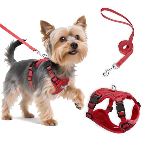 Small Dog Harness and Leash Set, Reflective Soft Breathable Mesh Vest, 3 Buckles, Adjustable Neck and Chest,Step in Dog Harness for Walking, Running, Training, Red, XS - color: Red, size: X-Small