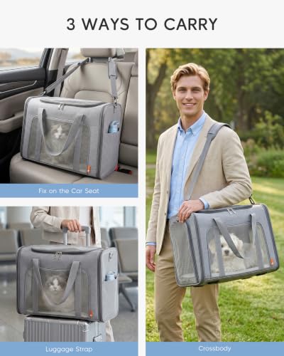 Up to 26lbs Soft-Sided Pet Carrier Bag 21.6 inch Large Cat Carriers Dog Carrier for Medium Cats Dogs Puppies Collapsible Travel Puppy Carrier with Foldable Bowls,Black - color: Black