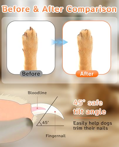 Wooden Dog Nail File, Dog Nail File Scratch Board with 8 Pcs Replaceable Sandpape