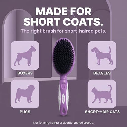 Soft Bristle Dog Brush For Short Haired Cats Or Dogs - Firm Bristles To Remove Dust, Dirt, And Loose Fur - Hook And Rubber Handle
