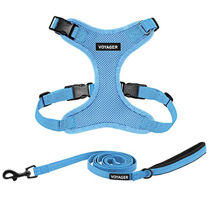 Best Pet Supplies Voyager Step-in Lock Pet Harness w Reflective Pet Leash Combo Set with Neoprene Handle 5ft - Supports Small, Medium and Large Breed Puppies/Cats - Baby Blue Set, L - color: Harness Leash Set (Baby Blue), size: L (Chest: 20 - 25")