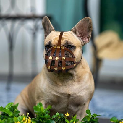 OOPSDOGGY French Bulldog Dog Muzzle for Short Snout Dog - Leather Breathable Secure Basket Muzzle for Frenchie Prevents Biting No Chewing Adjustable (Brown) - color: Brown