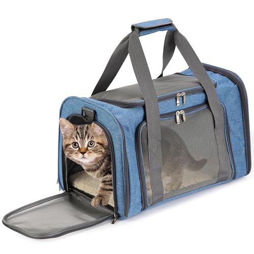 Mr. Pen- Pet Carrier, 17.5" x 11.2" x 11.5", Medium Size, Blue | Portable Travel Carrier for Small Pets, Cats & Small Dogs, Breathable Mesh, Safety Inner Leash - color: Blue