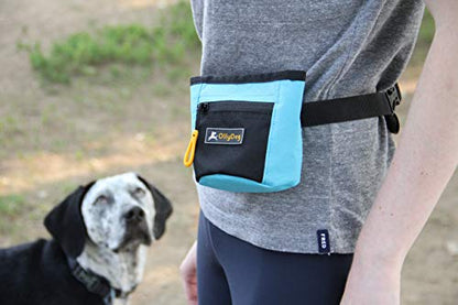 OllyDog Dog Treat Bag with Belt Clip, Atlantic, One Size - color: XAtlantic