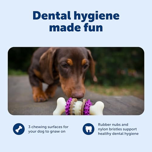 PetSafe Busy Buddy Bristle Bone Dog Chew Toy - Treat Holding Toothbrush Toy for Hard Chewers - Helps Keep Your Dog's Teeth Clean - Durable, Interactive - Purple, Extra Small - size: Extra Small, style: Bristle Bone