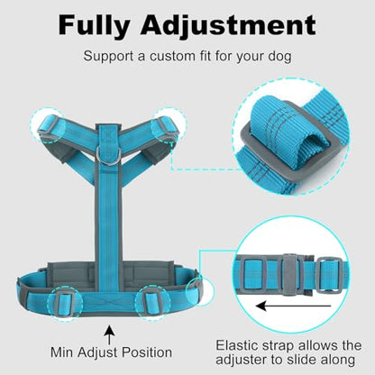 Plutus Pet No Pull Dog Harness, Adjustable Nylon Harness with Soft Padding, Reflective and Heavy Duty Dog Harness for Small, Medium, Large Dogs(Cyan, S) - color: Cyan, size: S