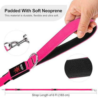 Colaseeme LED Light Up Dog Leash, USB Rechargeable (6FT,Pink) | Glow in dark, reflective, USB-C rechargeable, bright LED for night safety, fits medium to large dogs - color: Pink, size: 6FT