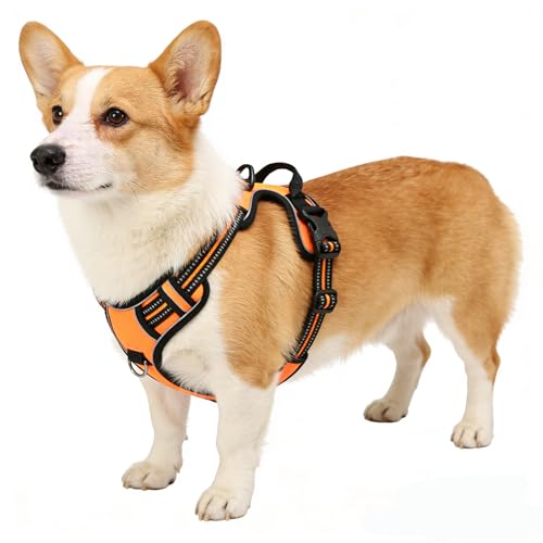 Orange No-Pull Dog Harness with 2 Leash Clips，Soft Padded Vest for Small Dog, Adjustable Reflective Dog Vest Easy to Put on and Take Off,(Neck: 13"~17", Chest: 17"~21",Orange Small) - color: Orange, size: Small