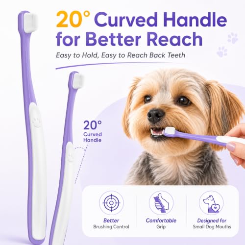 Small Dog Toothbrush, Mini Head, Soft Bristles, Under 30 lbs | Gentle Tiny Teeth Care. Curved Handle Reach. Soft Gum Comfort. Rubber Grip Control. Easy Daily Brushing. - size: 1 Count (Pack of 1)