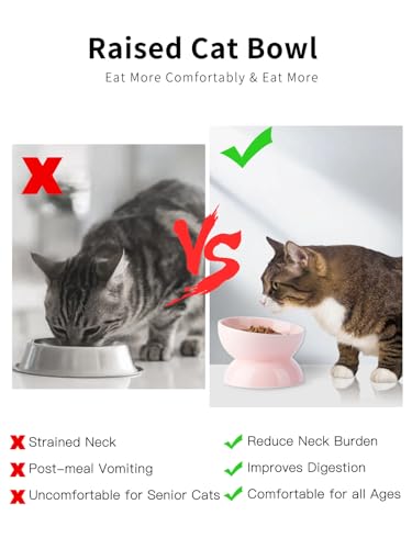 ABRUTY Cat Water Bowl, 16 OZ Ceramic Elevated Cat Bowls, 15° Tilted and Raised Pet Food Dish, Anti Vomiting Protect Pets' Spines and Whisker Fatigue - color: Pink, size: 1 Pack