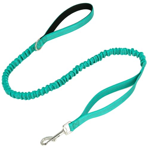 WYuZe 4FT Bungee Dog Leash Shock Absorption Handle for Strong Small Dogs | Stretch to 5.5ft, Soft Padded Handle, Reflective 3/4" Width Nylon Leash for Anti-Pull Training Walking Hiking, Teal - color: Teal