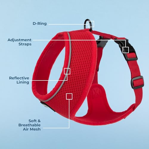 Best Pet Supplies Voyager Aerolite Over the Head Dog Harness, No Pull Breathable Air Mesh Vest, Quick Dry with Reflective Stitching, Adjustable Escape Resistant Harness - Red, X-Small - color: Red, size: XS