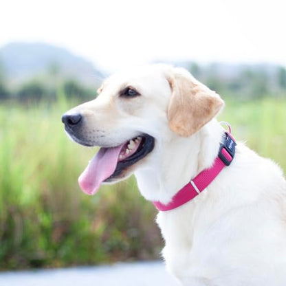 Hyhug Small Dog Collar Quick-Release| Heavy-Duty Nylon Puppy Collar, Adjustable & Durable Pet Supplies for Boy & Girl Dogs (Small, Rose Red) - color: Rose Red, size: Small