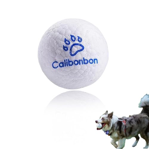 Durable Dog Herding Ball – ETPU Interactive Bouncy Fetch Toy for Small & Medium Dogs – Lightweight Floating Water Ball - color: 1 Balls