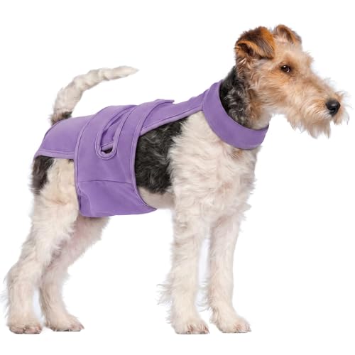 Dog Diapers Female Reusable Washable Period Diaper with Suspender,Adjustable Dog Panties Anti-Harassment, Doggie Diapers for Incontinence, Heat Cycles, or Senior Dogs（XS-XL） - color: Purple, size: M